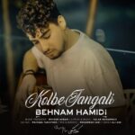 دانلود آهنگ بهنام حمیدی کلبه جنگلی